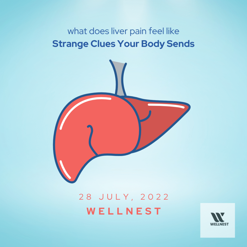 what does liver pain feel like