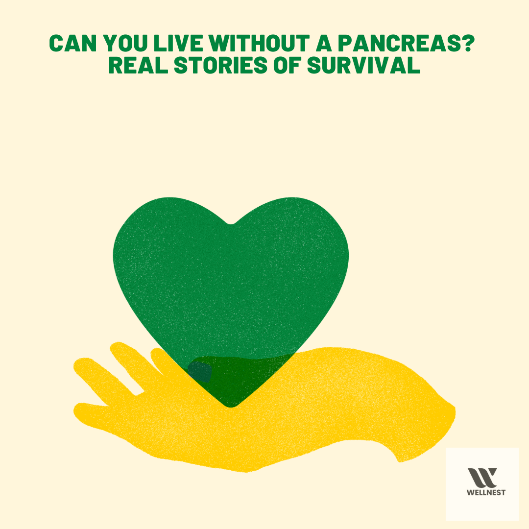 can you live without a pancreas