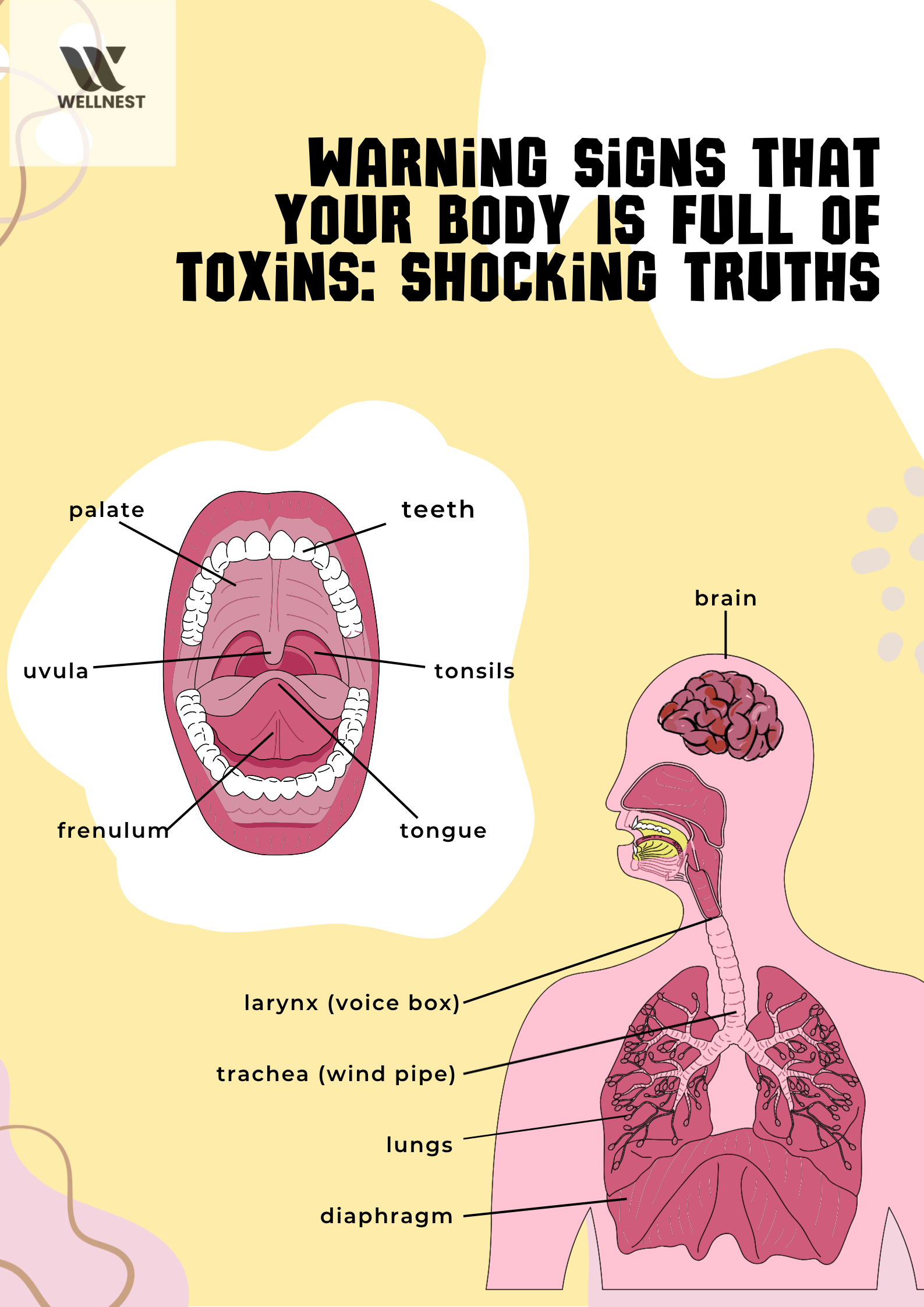 warning signs that your body is full of toxins