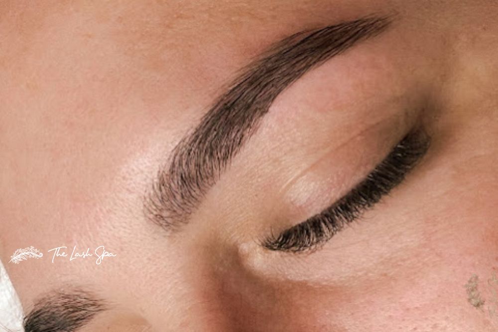 Golden Rule for Eyebrows